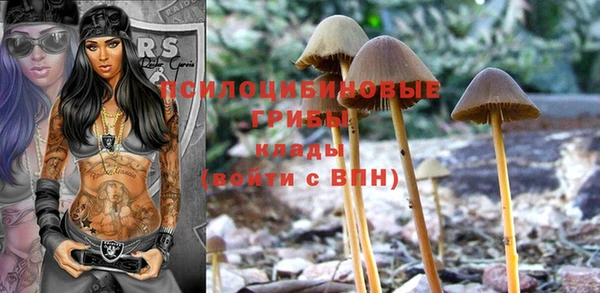 спиды Пролетарск