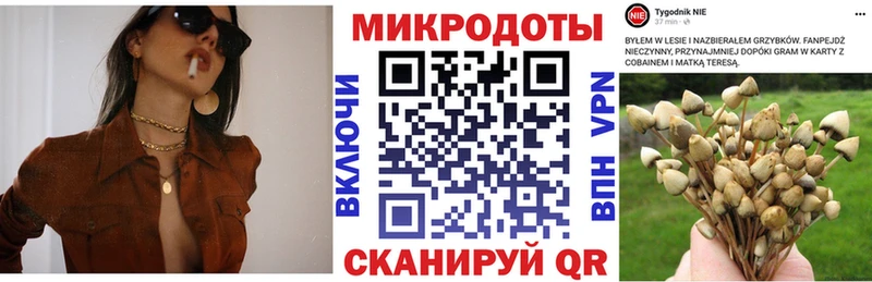 Псилоцибиновые грибы ЛСД Белая Холуница