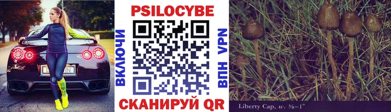 Купить закладки  Белая Холуница  Галлюциногенные грибы GOLDEN TEACHER 